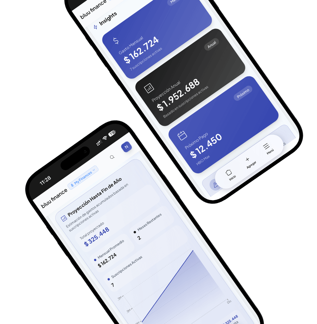 Bluu mobile app showing insights and net worth projection